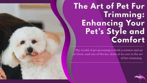 The Art of Pet Fur Trimming Enhancing Your Pet’s Style and Comfort.jpg