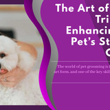 The Art of Pet Fur Trimming Enhancing Your Pet’s Style and Comfort
