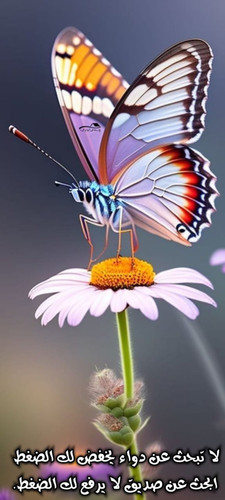 images%2Fimage 1698521268018.jpg