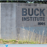 thumb 8042f335c3b989289ce089432374e2e9.png