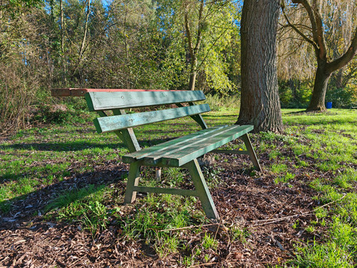 IMG 20231101 140407.jpg