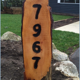 thumb 7417f9288f9aaa450cd7fd454189d5e9.png