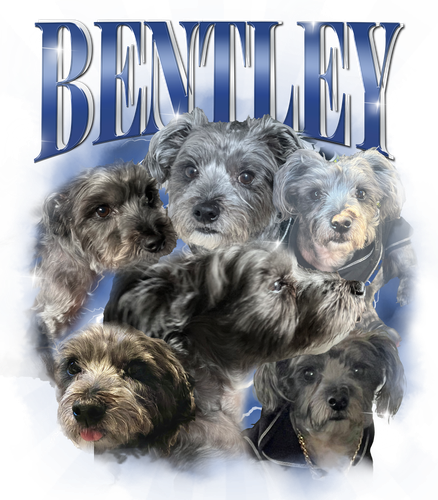 BENTLEY.png