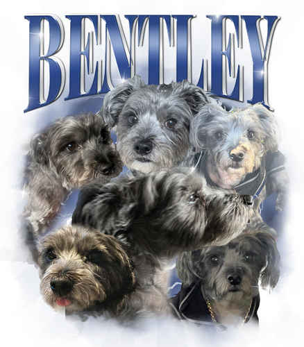 BENTLEY.png
