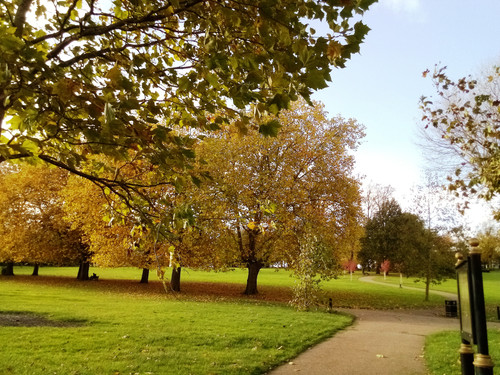 Spinney Hill Park - Leicester -1st November Wednesday-2023.jpg