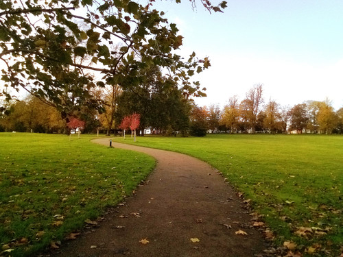 Spinney Hill Park - Leicester -1st November Wednesday-2023.jpg