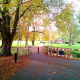 Spinney Hill Park - Leicester -1st November Wednesday-2023