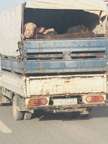 9423F390 38B1 4F3D 9874 BB4C8AB25272.jpg