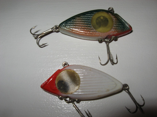 IMG 2369.jpg