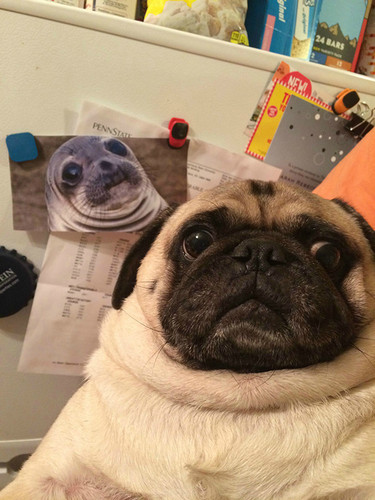 double sad.jpg