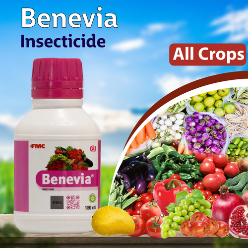 Benevia 2.png