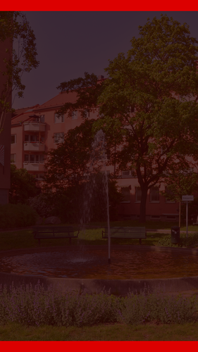 bg upptaget fasanen.png