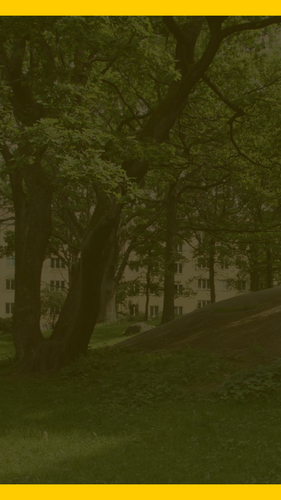 bg avvaktande rudbeckparken.png