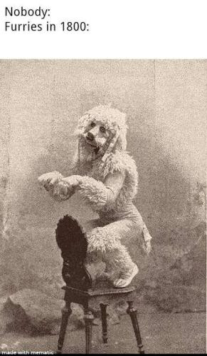 vintage furries.jpg