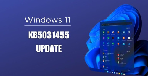 WINDOWS 11 KB5031455 1 768x395.jpg