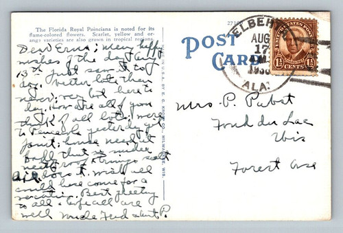 large091966.jpg