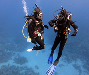 thumb 2ae08ca3d604d625f283951bbd33178d.png