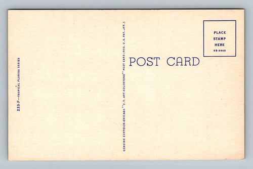 large091864.jpg