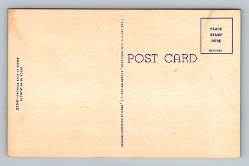 large091850.jpg
