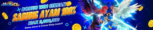 bonus win streak sabung ayam bebas arena agen ws168.webp