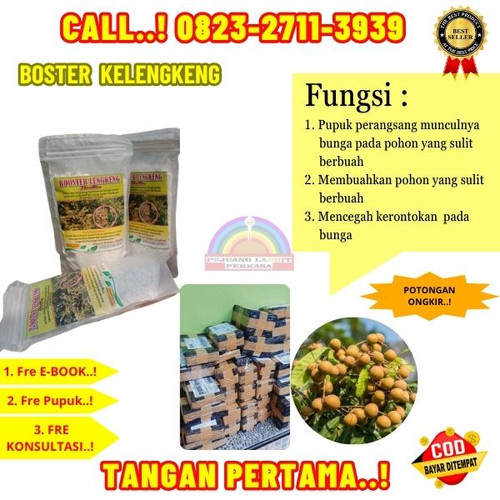 TERPERCAYA! H.Tovix CALL 0823-2711-3939 Supplier Pupuk Kelengkeng Yang Baik ke Kebumen-Bonorowo-Ngas.jpg
