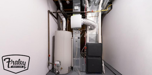 Untitled design 2023 10 31T131713.669.jpg