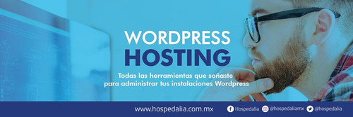 Seguridad Wordpress.jpg