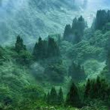 images 1 