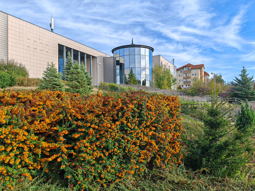 IMG 20231029 142527.jpg