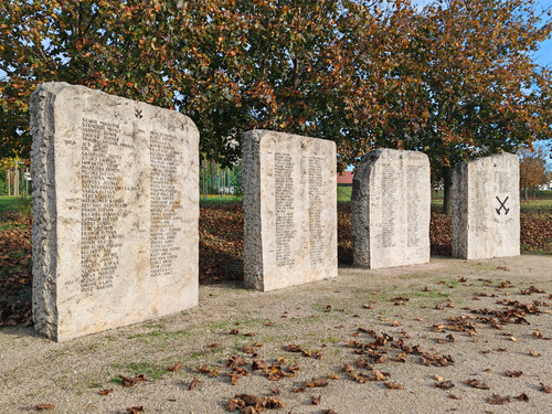 IMG 20231029 142957.jpg