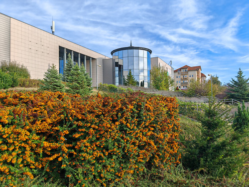 IMG 20231029 142522.jpg