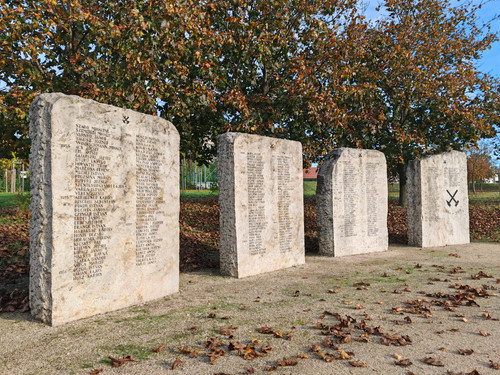 IMG 20231029 142951.jpg