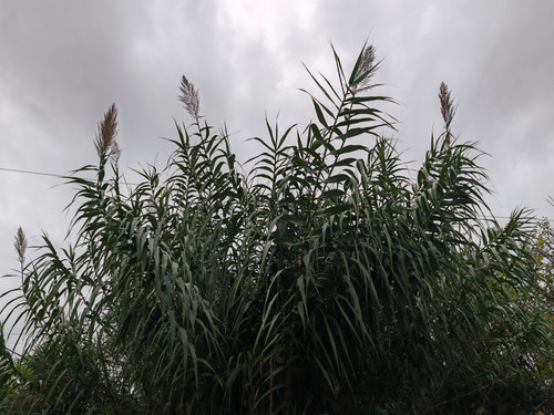 IMG 20231025 171546.jpg