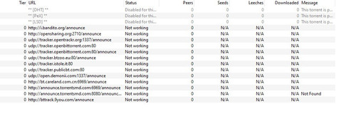 qbittorrent W1aTrgcZmW.jpg