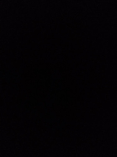 16986419854028970751385766532185.jpg
