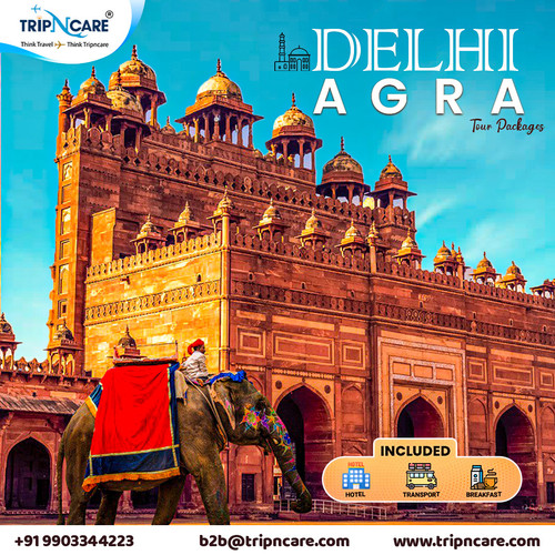 Discover the Majesty of Delhi Agra Tour Package Uncover India's Rich Heritage.jpg