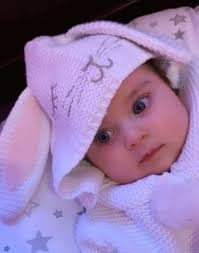 images%2Fimage 1698648906994.jpg
