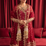 A Beautiful Festive Maroon Dress