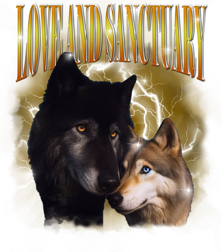 Love and Sanctuary.png