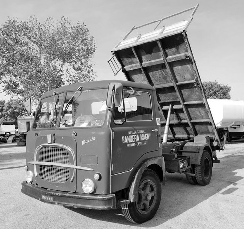 392941229 3342484492716153 2264477800268743838 n.jpg