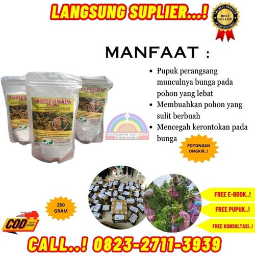 PENJUAL AMANAH! H.Tovix CALL 0823-2711-3939 Supplier Pupuk Kelengkeng Cepat Buah ke Kebumen-Ayah-Sra.jpg