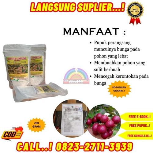 TERMURAH! H.Tovix CALL 0823-2711-3939 Supplier Pupuk Kelengkeng Merah ke Kebumen-Ayah-Watukelir.jpg