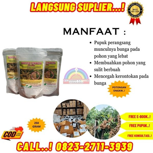 TERLARIS! H.Tovix CALL 0823-2711-3939 Supplier Pupuk Kelengkeng Supaya Cepat Berbuah ke Kebumen-Bono.jpg