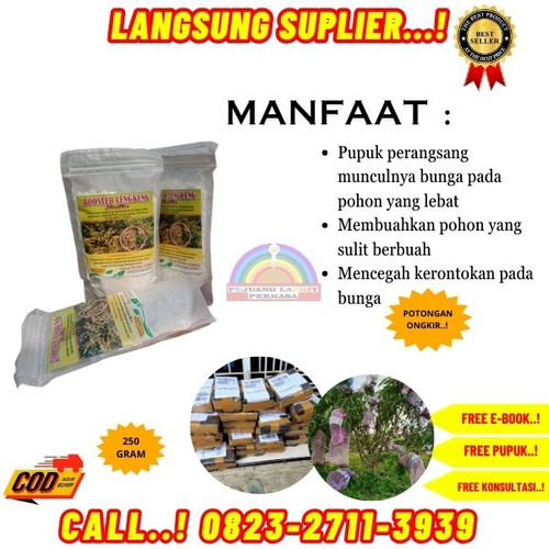 KARUNGAN! H.Tovix CALL 0823-2711-3939 Supplier Pupuk Kelengkeng Cepat Berbuah ke Kebumen-Ayah-Pasir.jpg