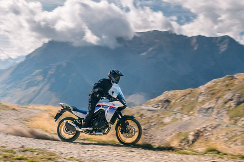 Untitled design(60).jpg