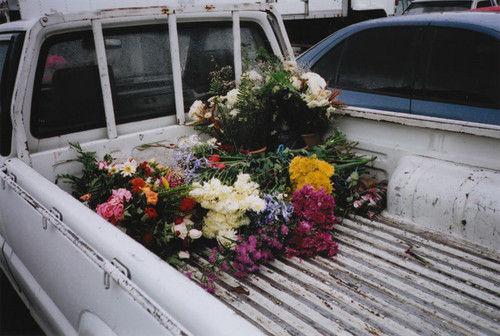 Tumblr l 288474903999537.jpg