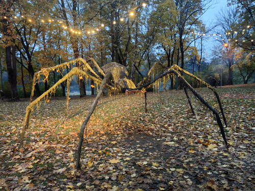 IMG 20231028 175458.jpg