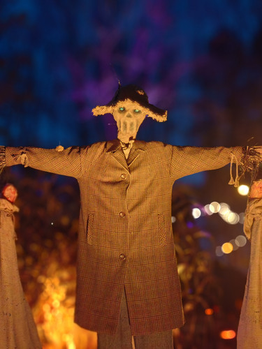 IMG 20231028 181730.jpg