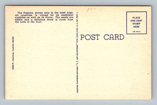large091900.jpg