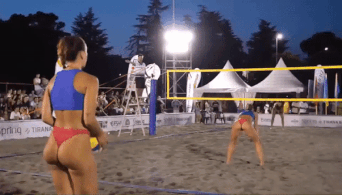 81cf312f62.gif